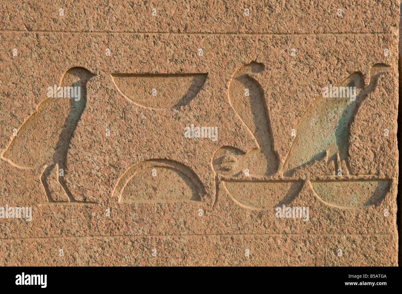 Detail of carved granite Hieroglyph at the complex of the unfinished Pyramid of Abusir ancient Egyptian royal tomb from the 5th Dynasty Egypt Stock Photo