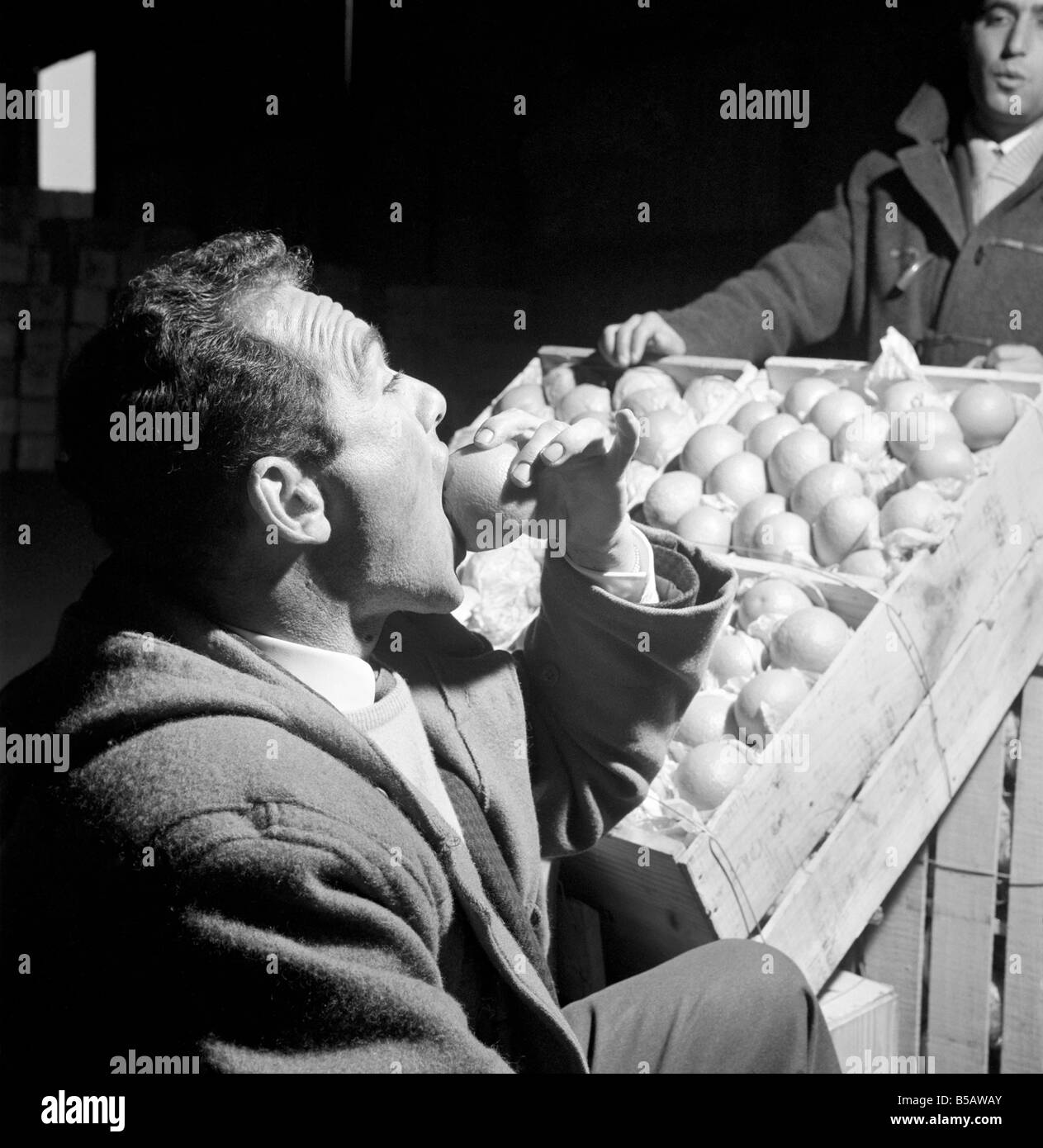 Food: Fruit: Oranges: Orange testers at Surrey Docks. March 1958 A658-006 Stock Photo