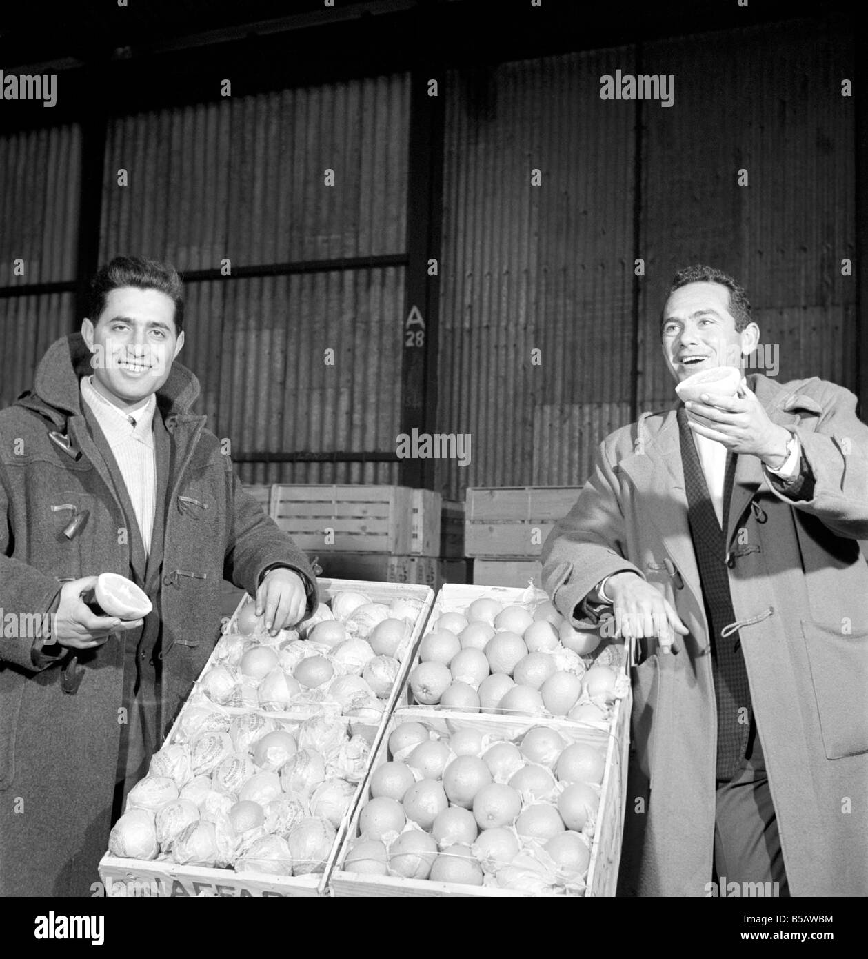 Food: Fruit: Oranges: Orange testers at Surrey Docks. March 1958 A658-016 Stock Photo