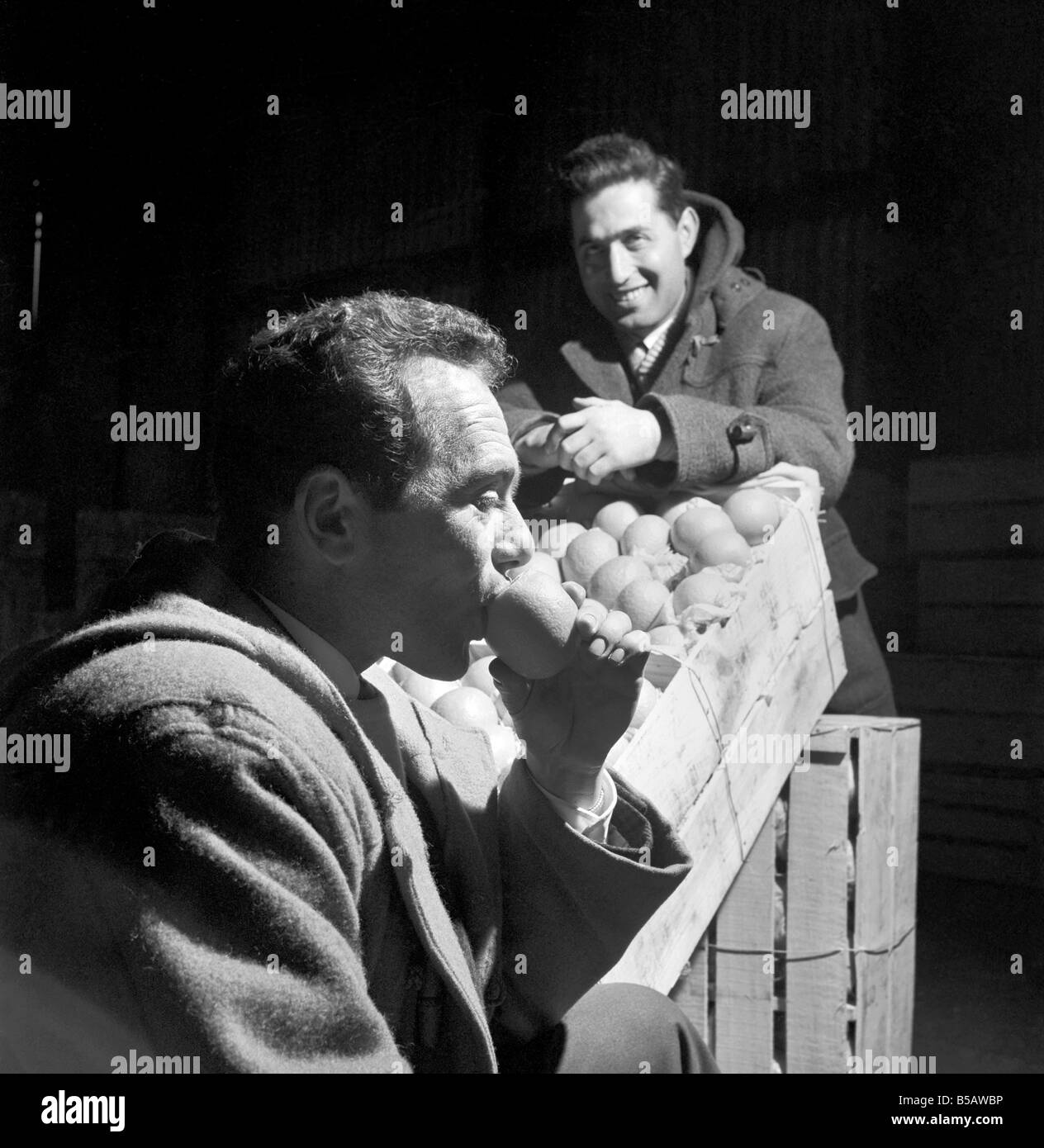 Food: Fruit: Oranges: Orange testers at Surrey Docks. March 1958 A658-017 Stock Photo