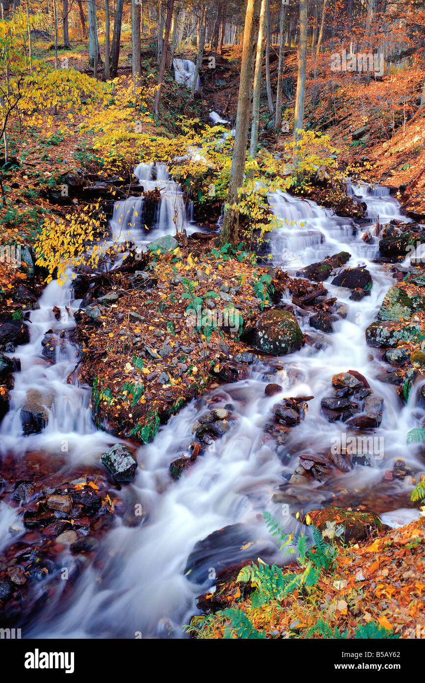 Woodland Stream water cascade fall color Delaware Water Gap National Recreational Area Stock Photo