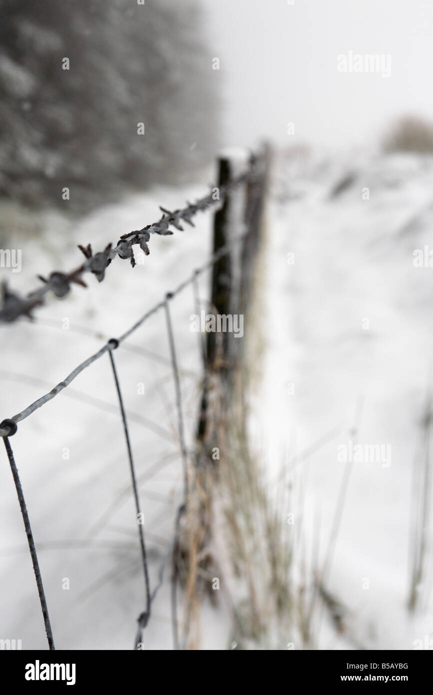 barbed wire fence coated in snow and ice on the edge of a forest county ...
