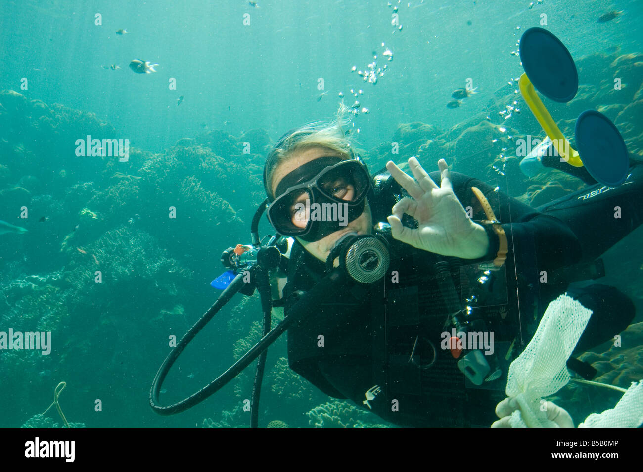 scuba diver OK sign Stock Photo Alamy