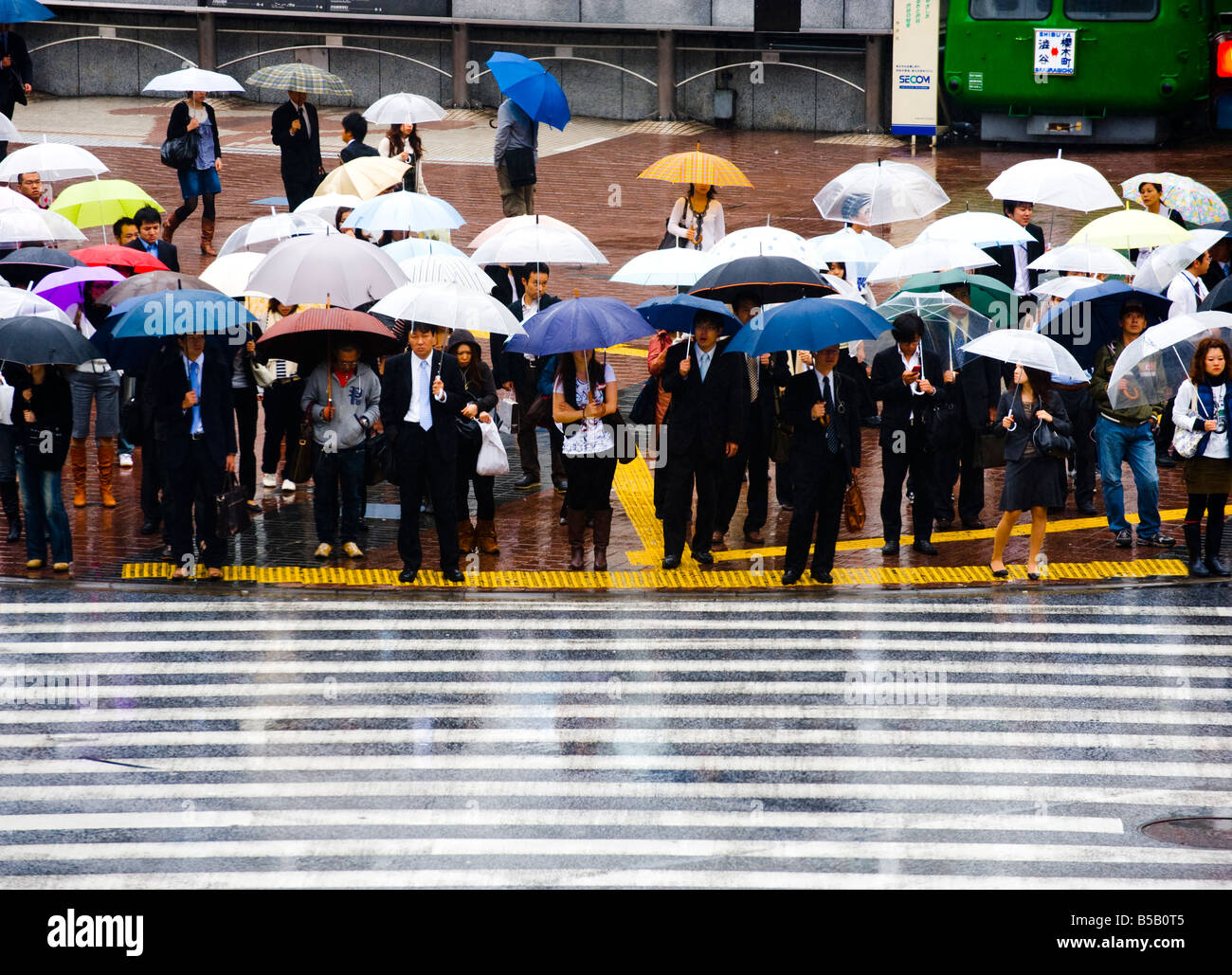 Pedestrians with umbrellas waiting at the main crossing in The Shibuya ...