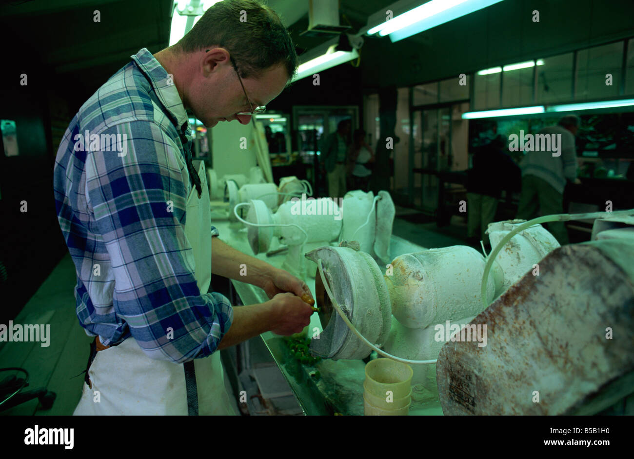 Westland greenstone hires stock photography and images Alamy