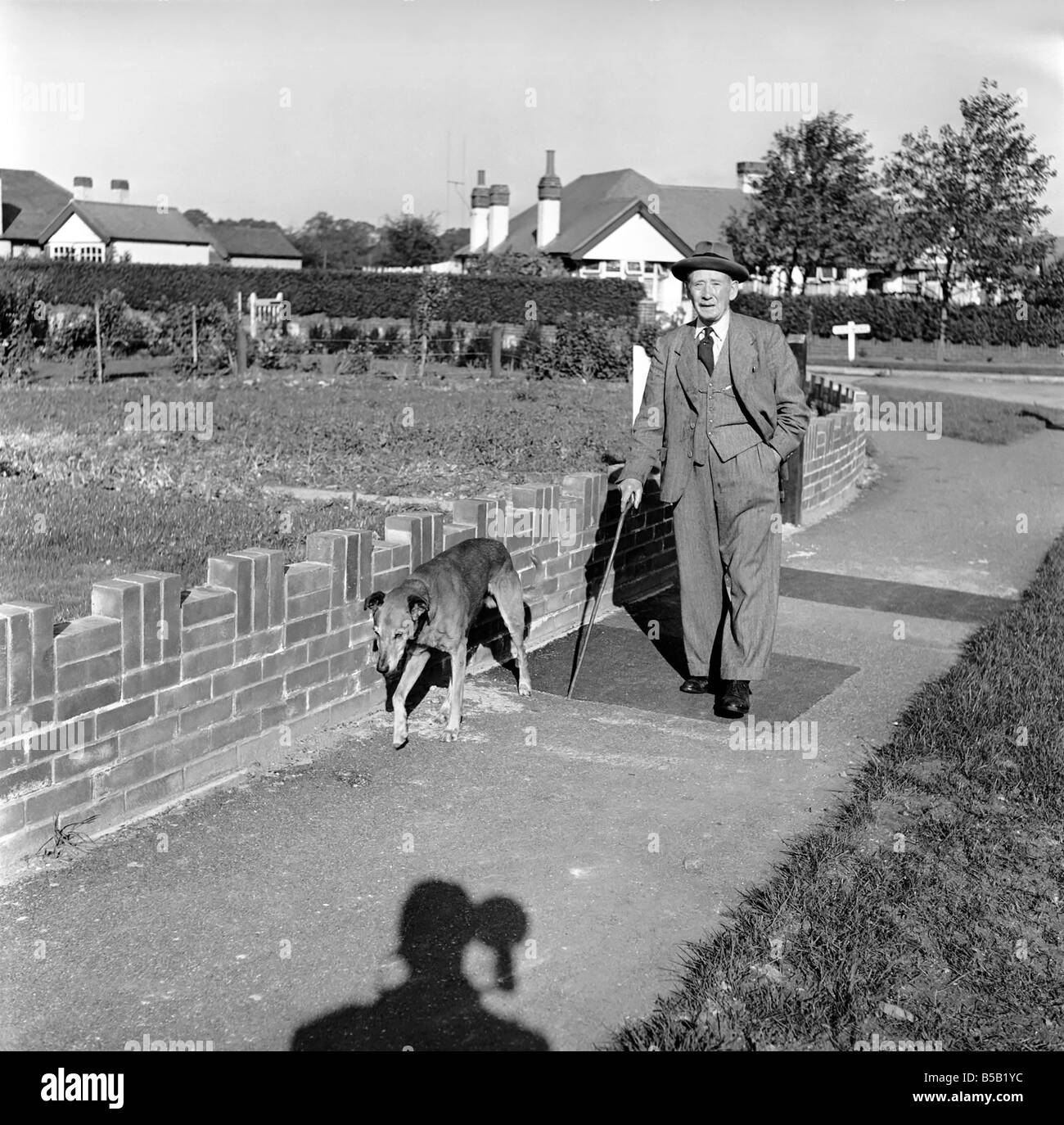 Man's best friend: Man walking a dog. Circa 1954 Stock Photo - Alamy 