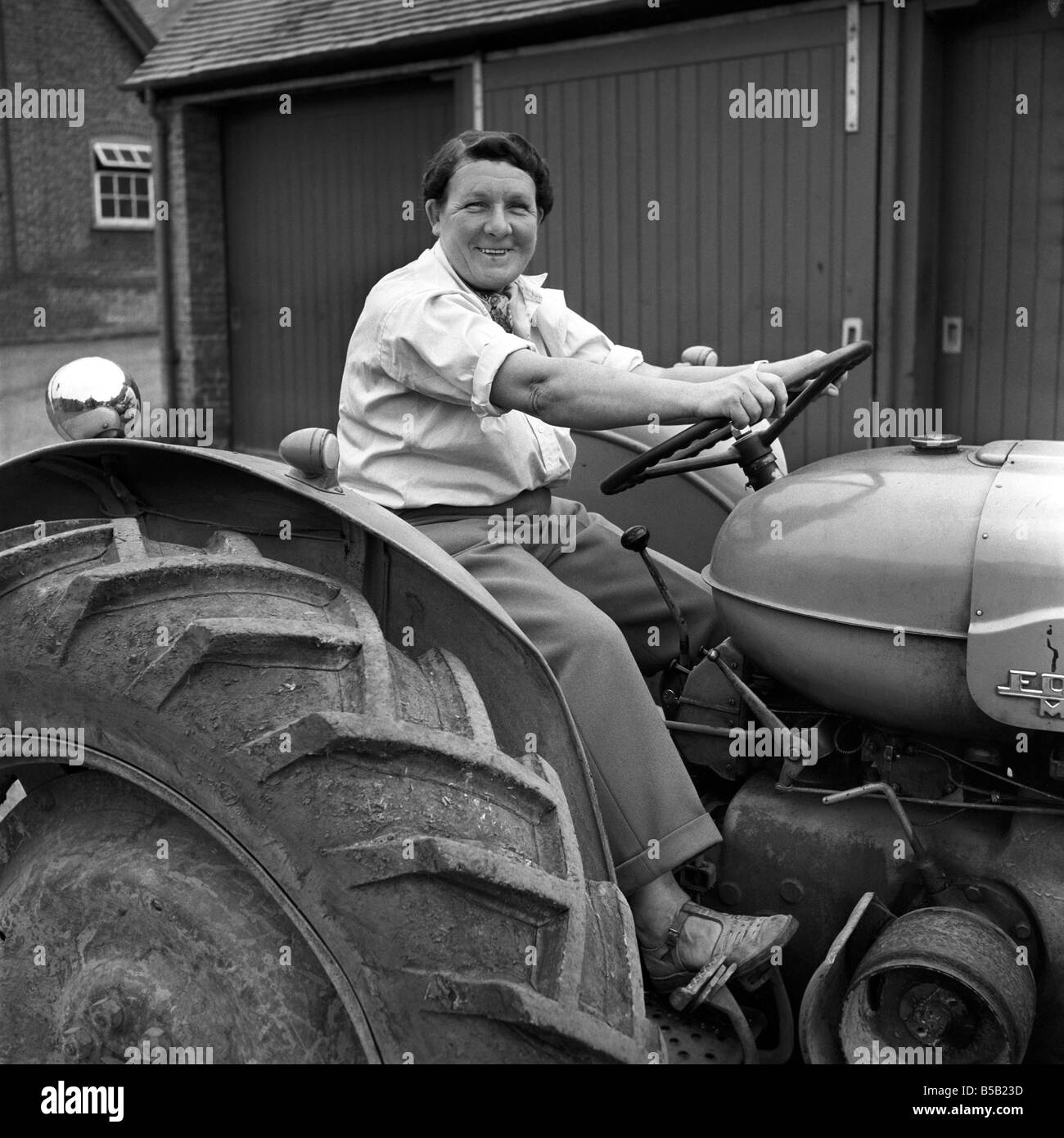Mrs. Moss a livestock farmer seen here driving a Ferguson tractor around the farm. 1954 Stock Photo
