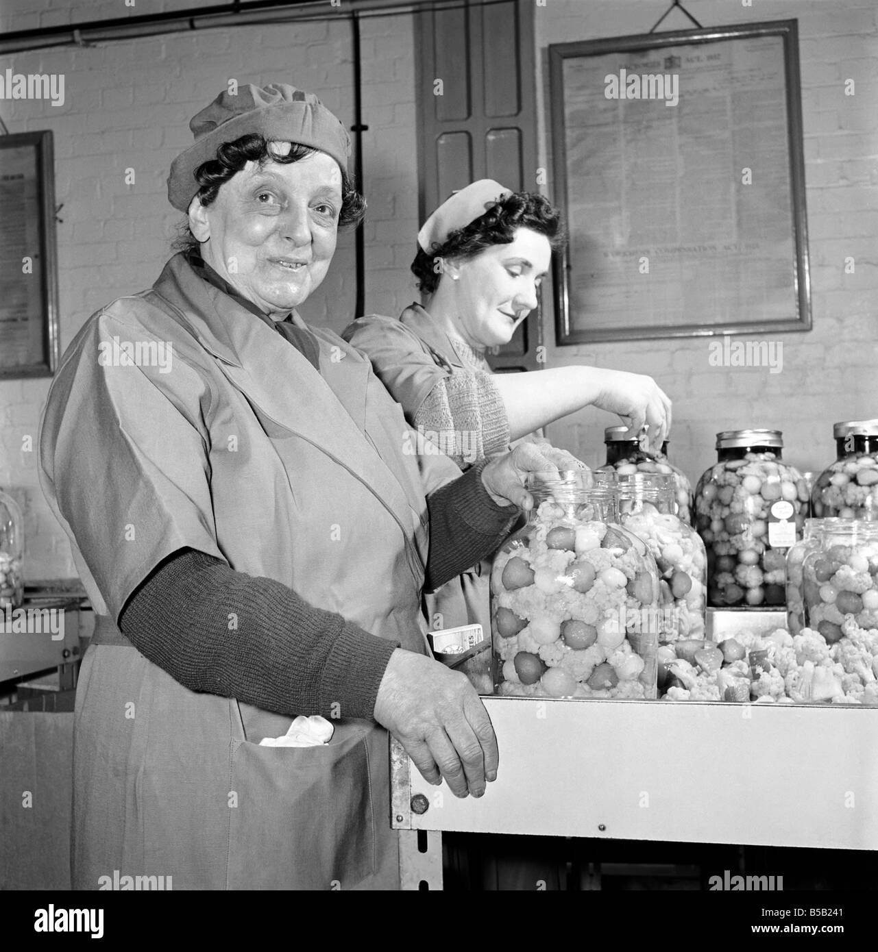 Pickle Packers: Pickle packers placing onions in jars. 1954 A156-003 Stock Photo