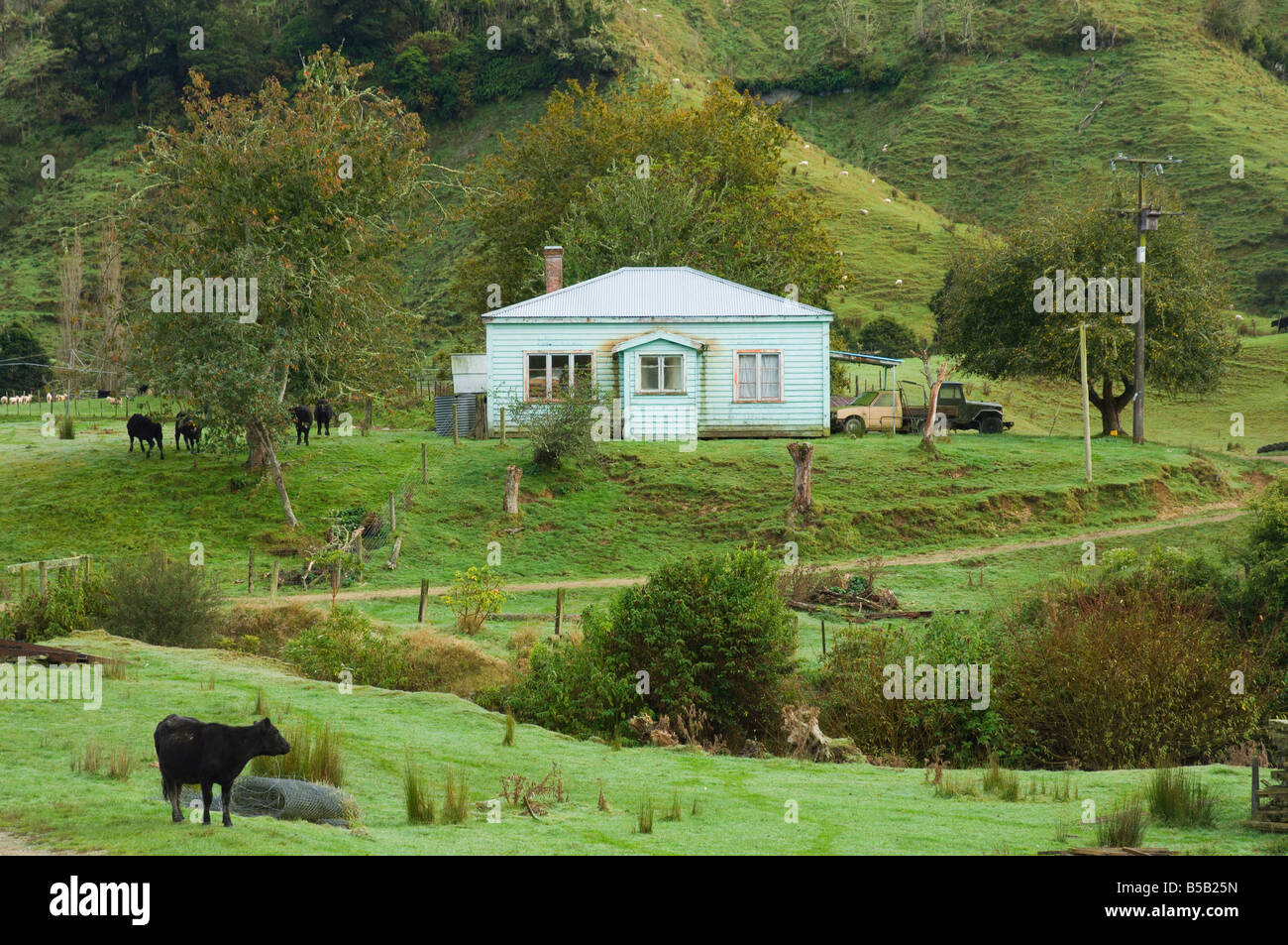 Mudstone Hill Farmland, King Country, North Island, New Zealand