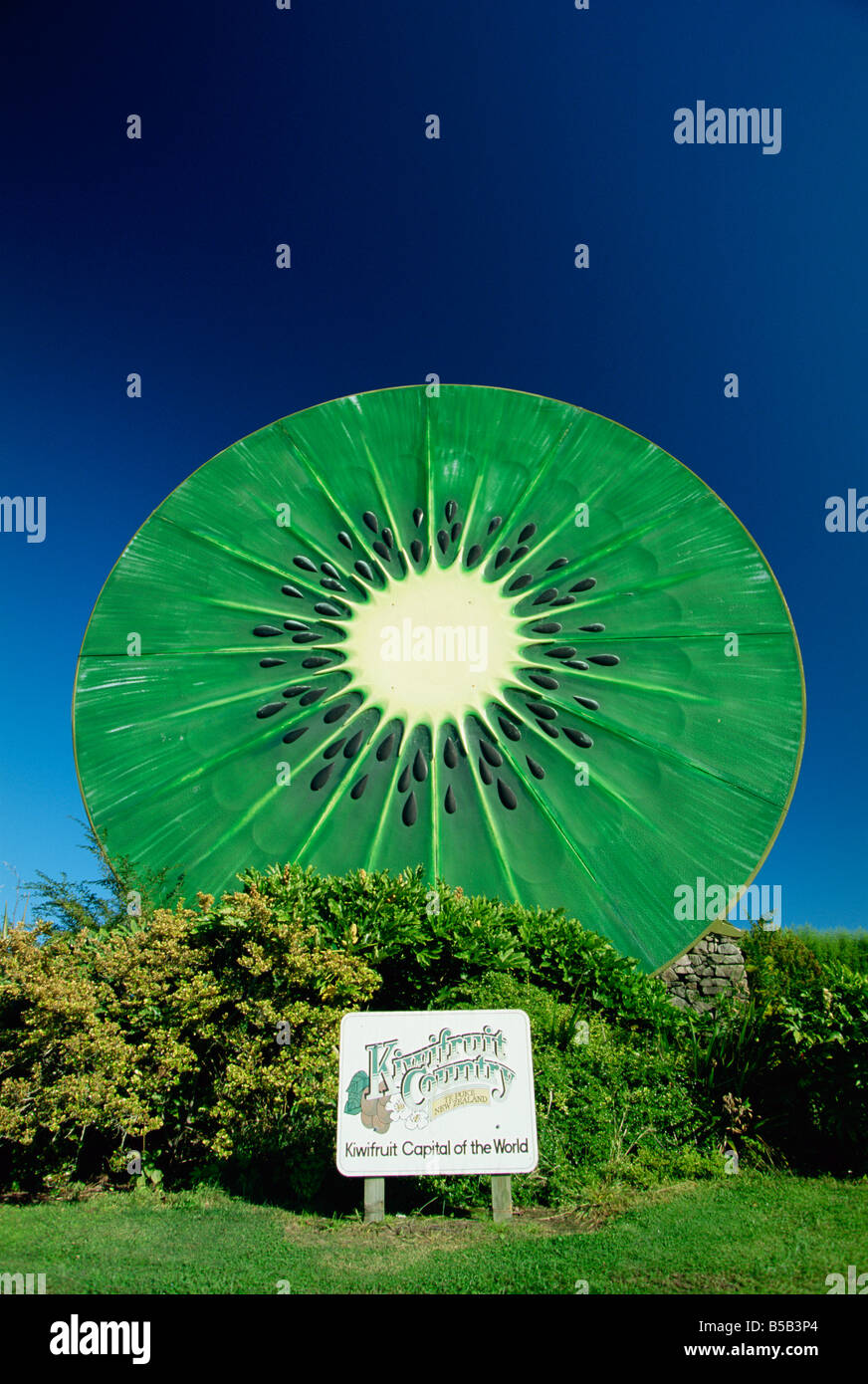 Huge kiwi fruit sign at Te Puke, Kiwi Fruit Capital of the World, in ...