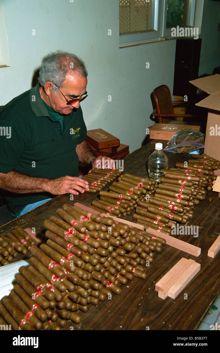 Rolling cigars, Nassau, Bahamas, West Indies, Central America Stock