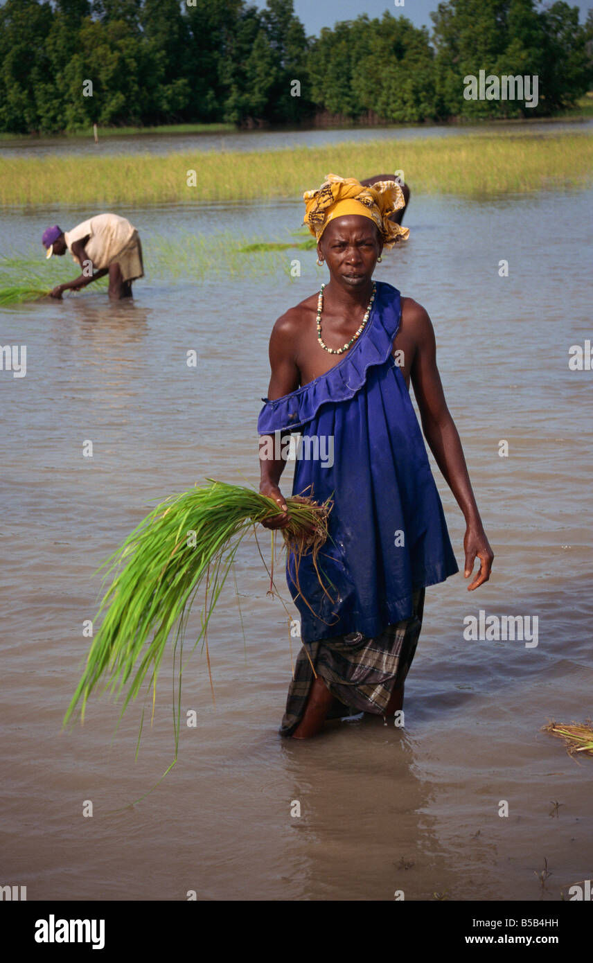 Gambia Rice African women gambia traditional dress hi-res stock photography and ...