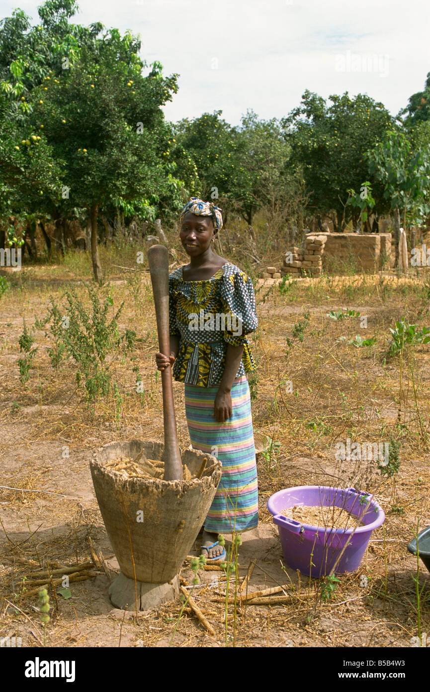 Pounding millet for flour, near Banjul, Gambia, West Africa, Africa Stock Photo