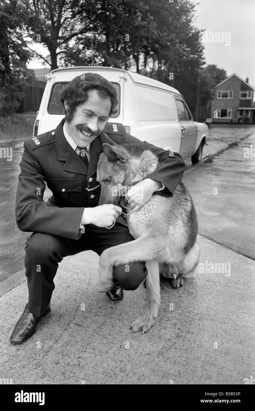 Police dog Musk commended by a judge at Reading after hearing how the dog had discovered a knife used in an attack. ;PC Fred Willsner with his dog Musk. ;May 1975 Stock Photo