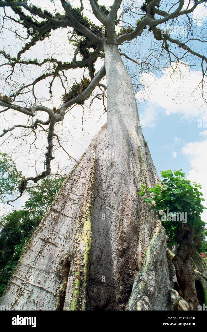 Silkwood hires stock photography and images Alamy