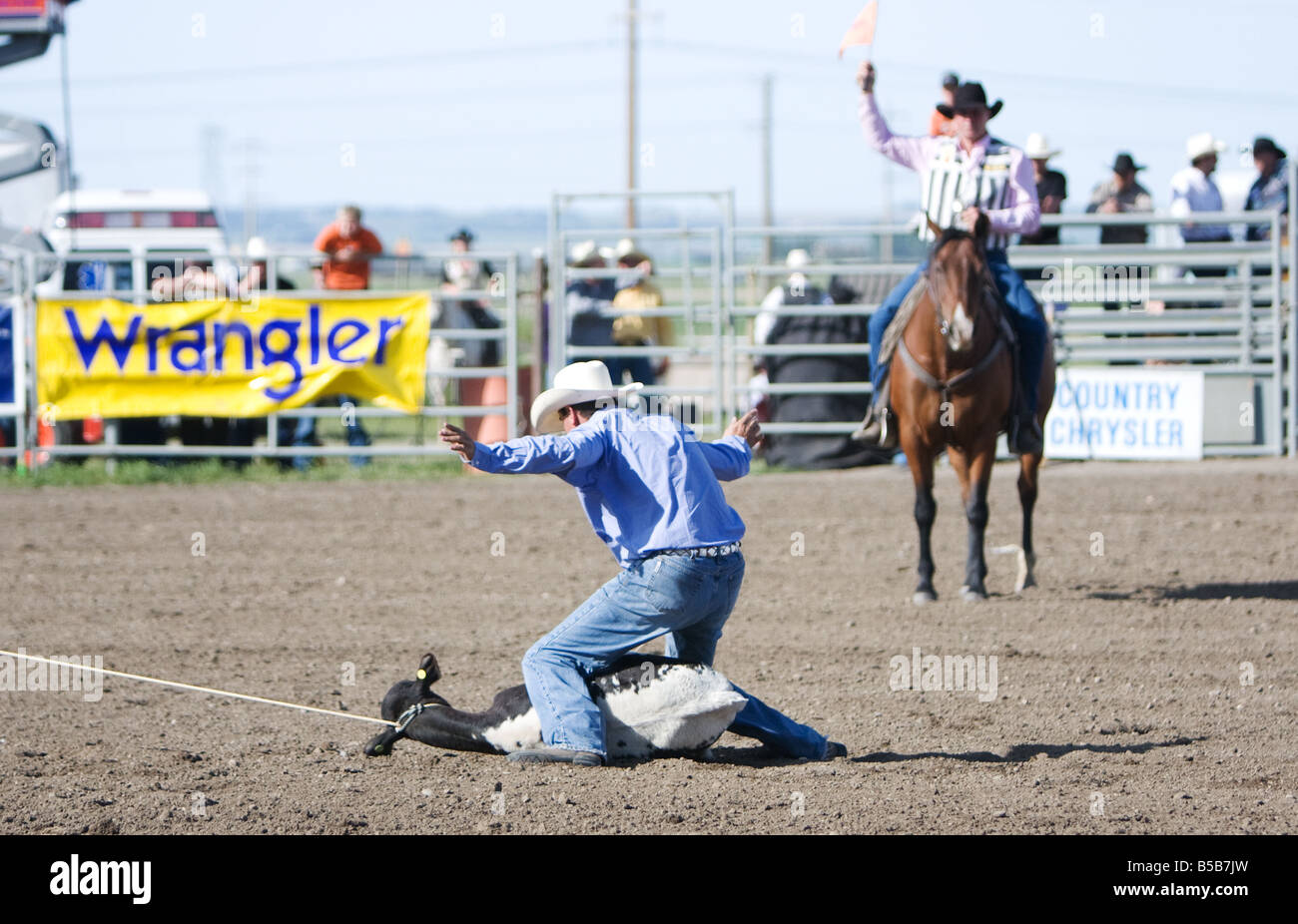 A cowboy chasing a calf in the calf roping contest at a rodeo. Stock Photo