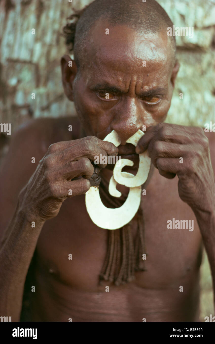 Portrait of an elderly Asmat man inserting a nose ornament in Papua New Guinea Pacific Islands C Leimbach Stock Photo