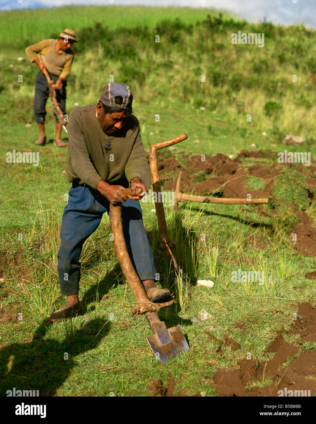 Man using version of Inca foot plough, near Cuzco, Peru, South America Stock Photo