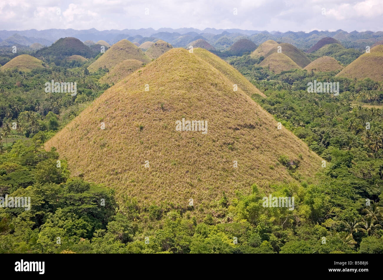 Chocolate Hills, mounds of earth where grasses turn from green to brown