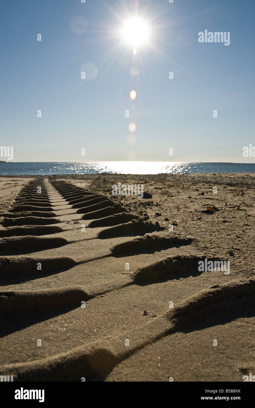 tracks in the sand leading toward the ocean Stock Photo