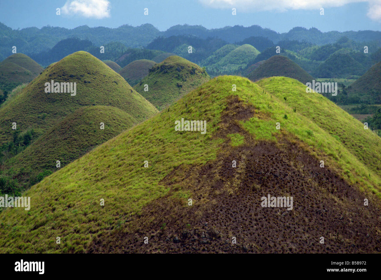 The Chocolate Hills, a famous geological curiosity, with over 1000 of them, on the island of Bohol, the Philippines, Asia Stock Photo
