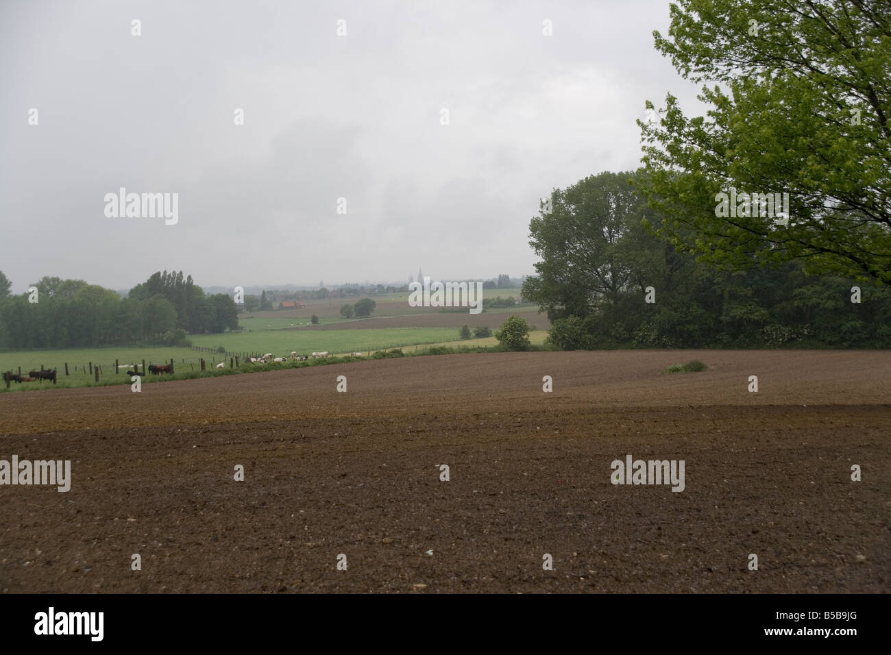 Battle of mount sorrel hires stock photography and images Alamy