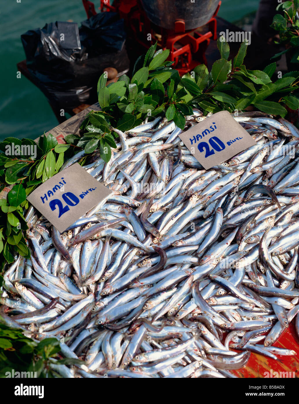 Fish markets in istanbul hi-res stock photography and images - Alamy