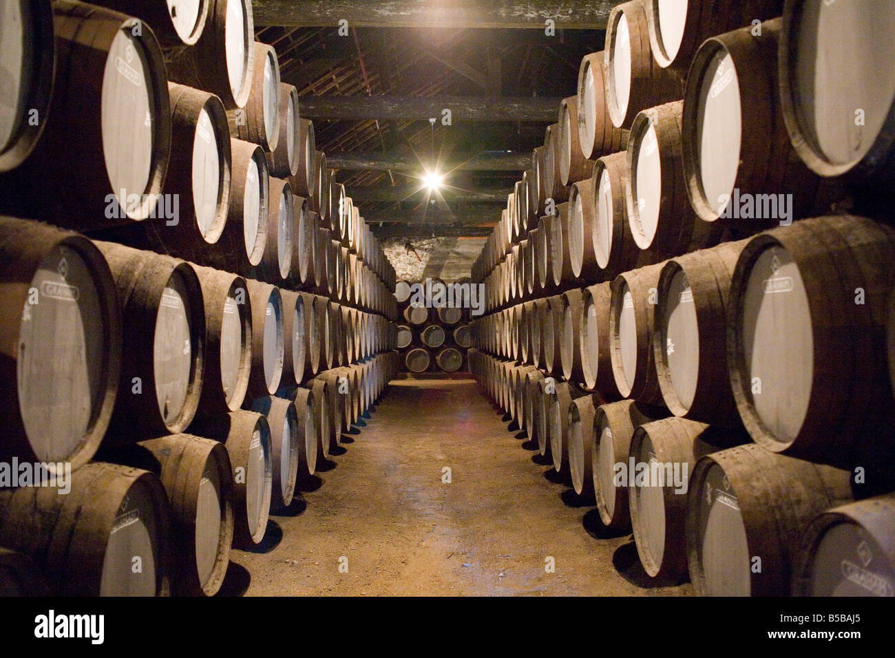 Traditional port barrels in which tawny port is maturing, Av. Ramos Pinto, Vila Nova de Gaia, Oporto, Portugal Stock Photo