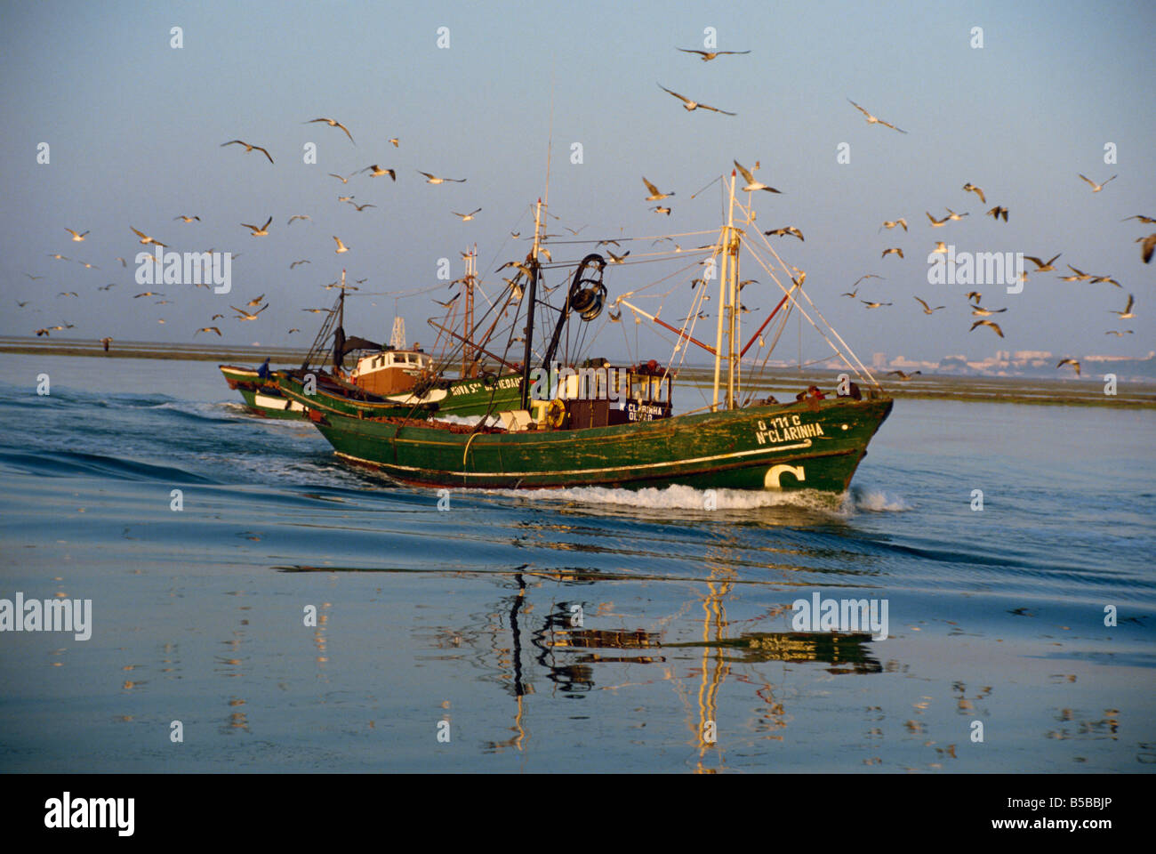 Sea birds following fishing boats returning to harbour in the early