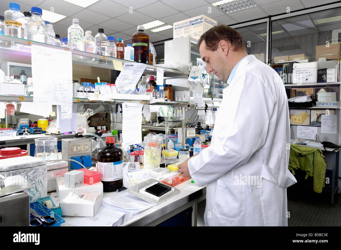 medical laboratory science of study aids Stock Photo Alamy