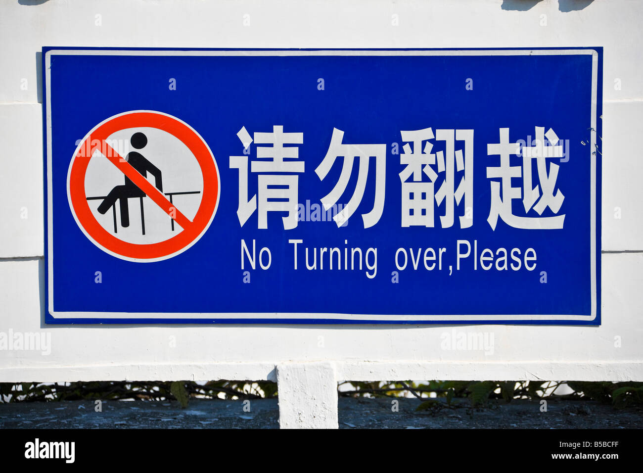 To english translation chinese The Best