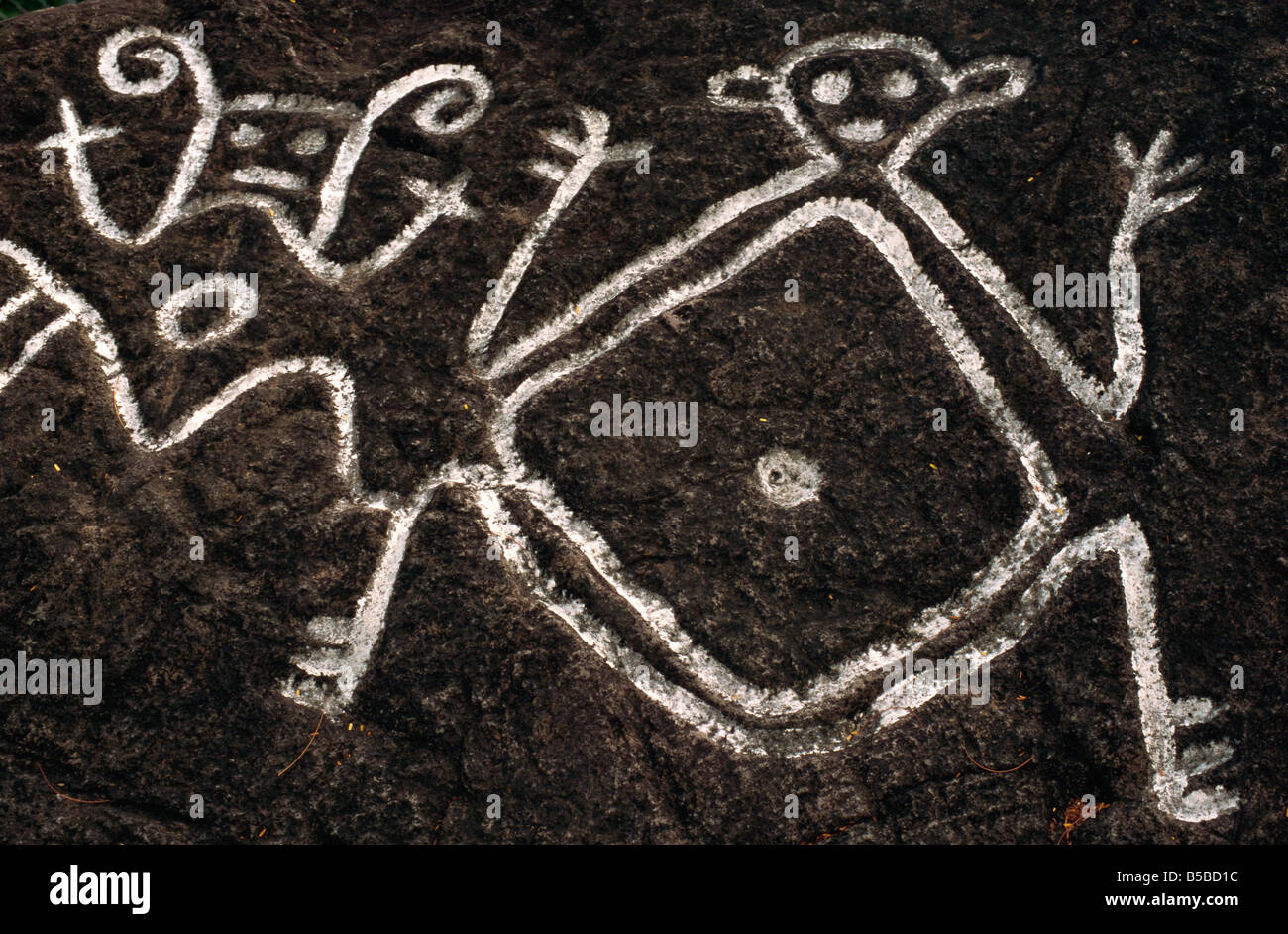Petroglyphs carved by Caribs Old Road Town St Kitts Leeward Islands West Indies Caribbean Central America Stock Photo