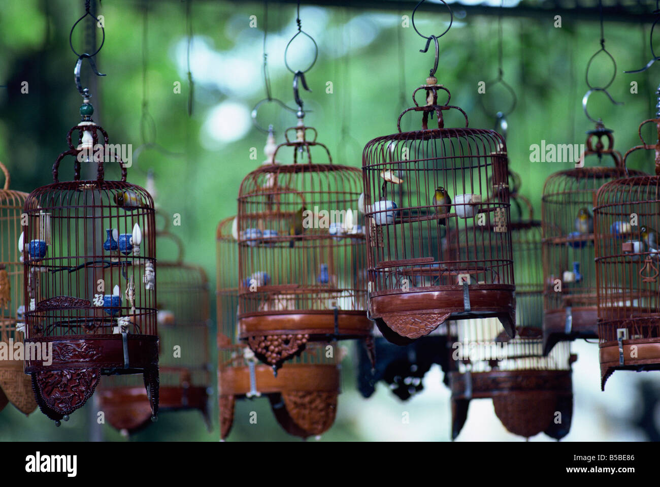 Caged birds for sale, Chinatown, Singapore, Southeast Asia Stock Photo