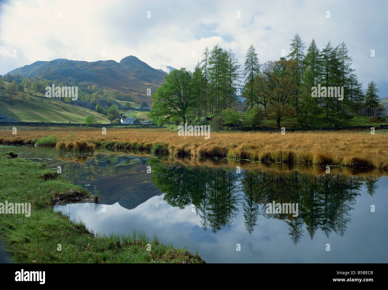 Little Langdale, Lake District National Park, Cumbria, England, Europe Stock Photo