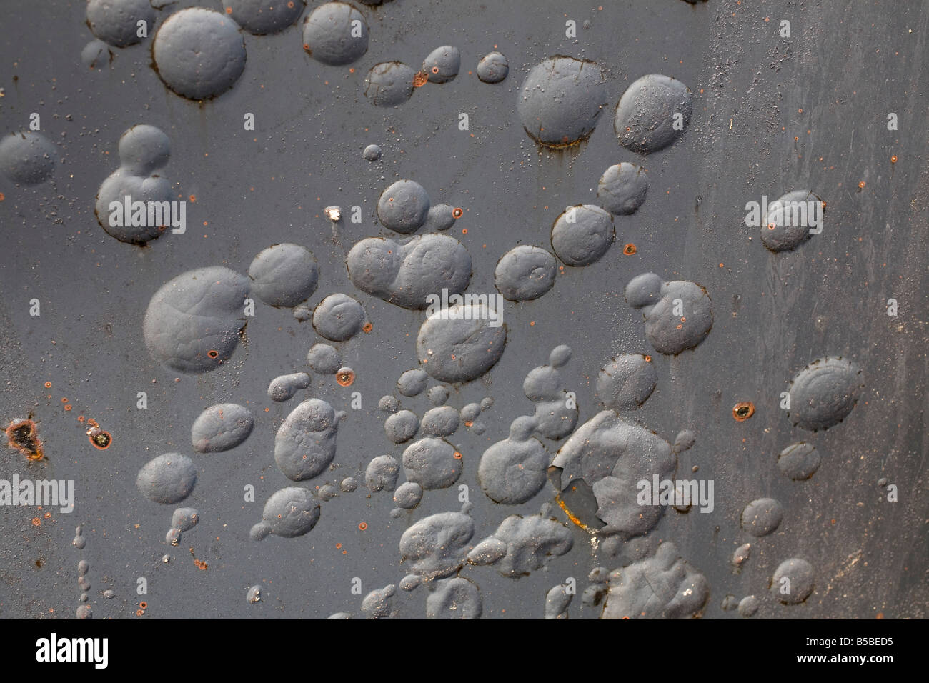 Detail of bubbling paint Stock Photo Alamy