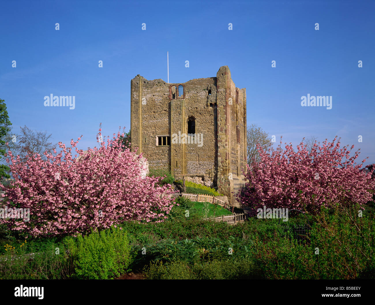 Guildford Castle, Surrey, England, Europe Stock Photo