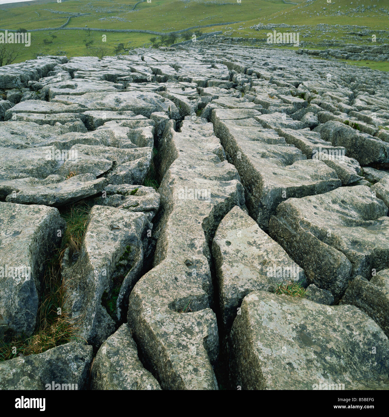 Limestone pavement, Malham, Yorkshire Dales National Park, North