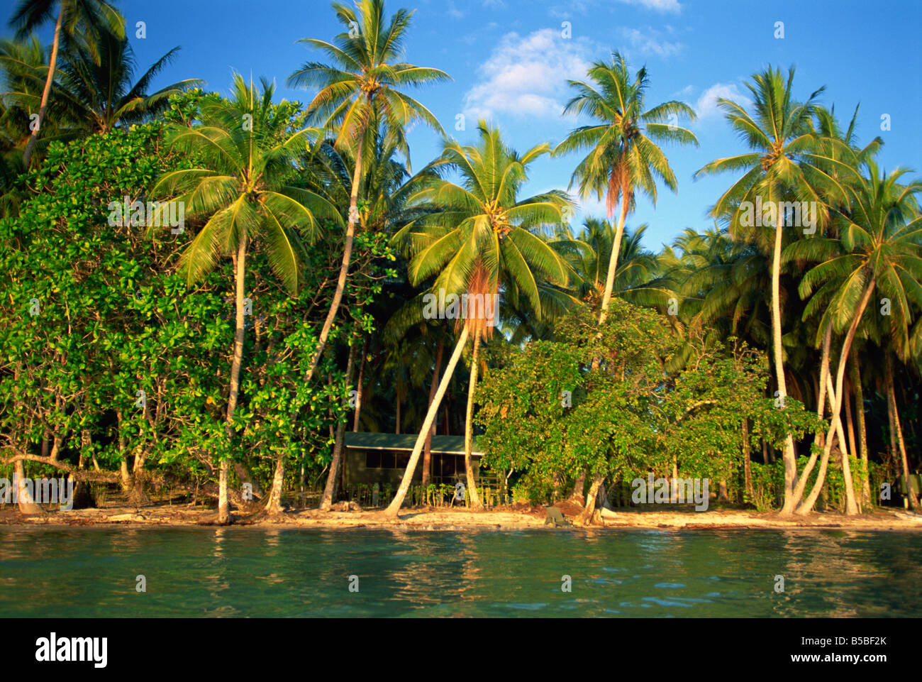 The beach palm trees and cottages of Uepi Island resort in the Solomon