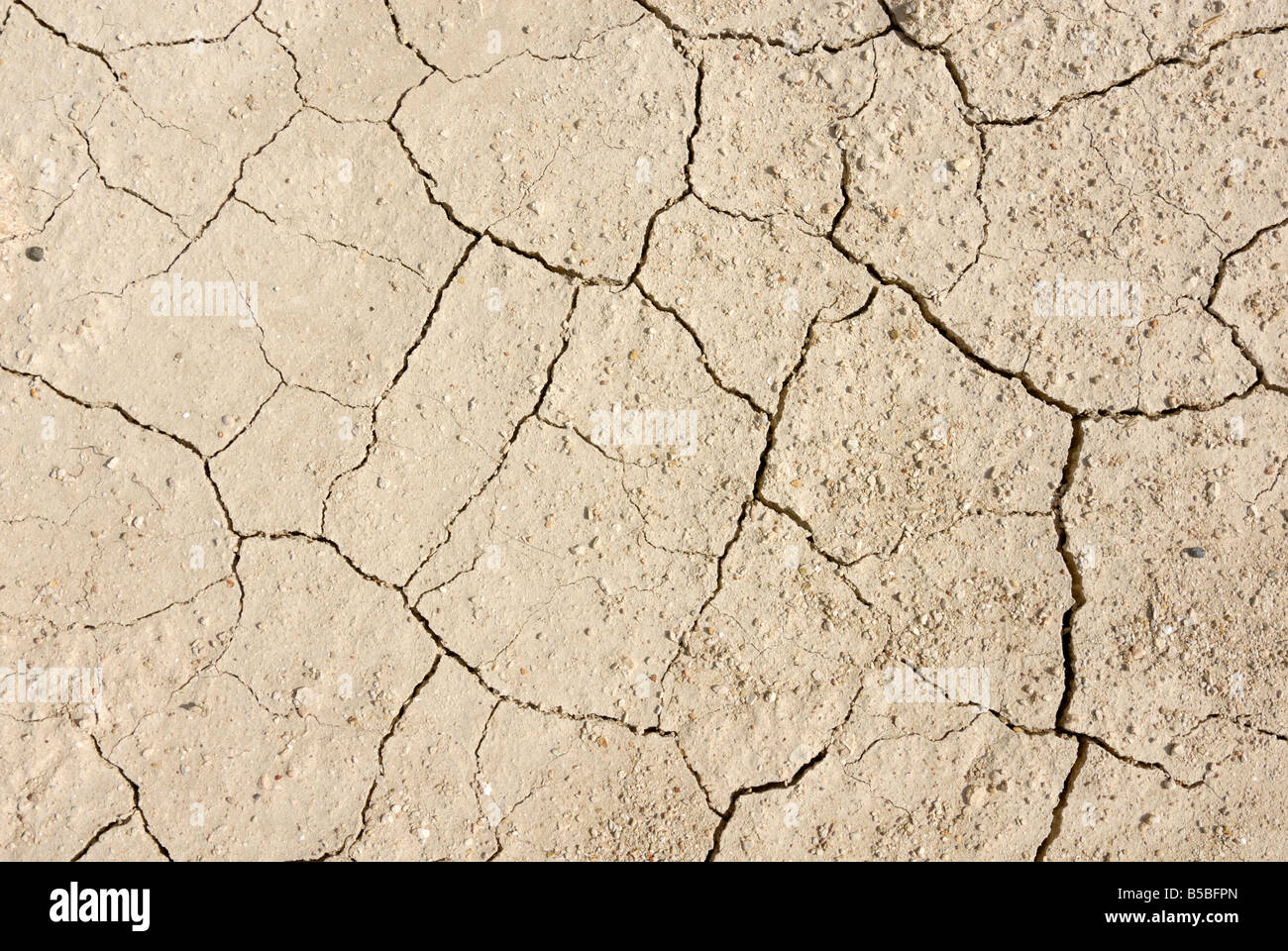 Dry cracked soil Stock Photo