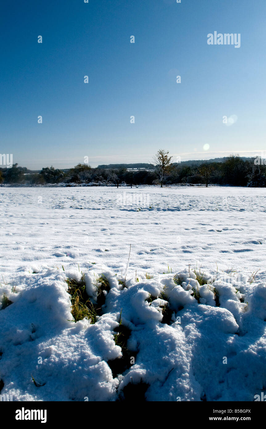 snow during winter looking across a village common towards the trees on a sunny day Stock Photo