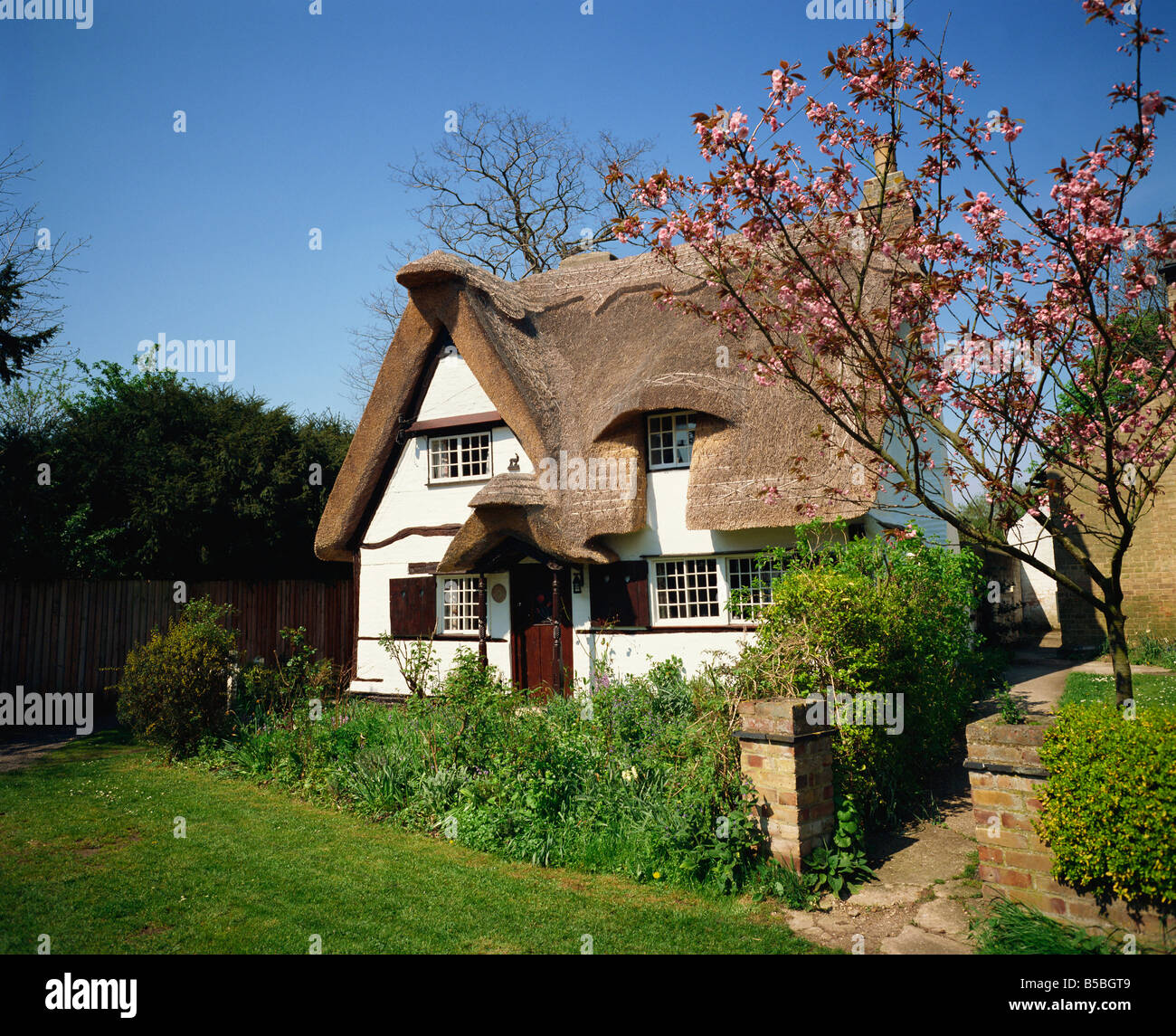 Cottage in spring Houghton Cambridgeshire England United Kingdom Europe Stock Photo