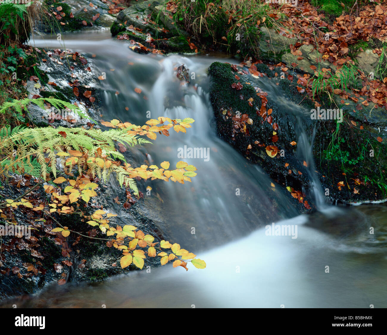Close up of stream cascading over rocks in autumn in Scotland United Kingdom Europe Stock Photo