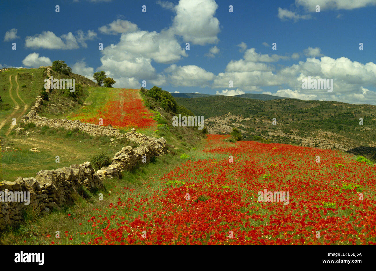 Landscape near Teruel, Maestrazgo, Aragon, Spain, Europe Stock Photo