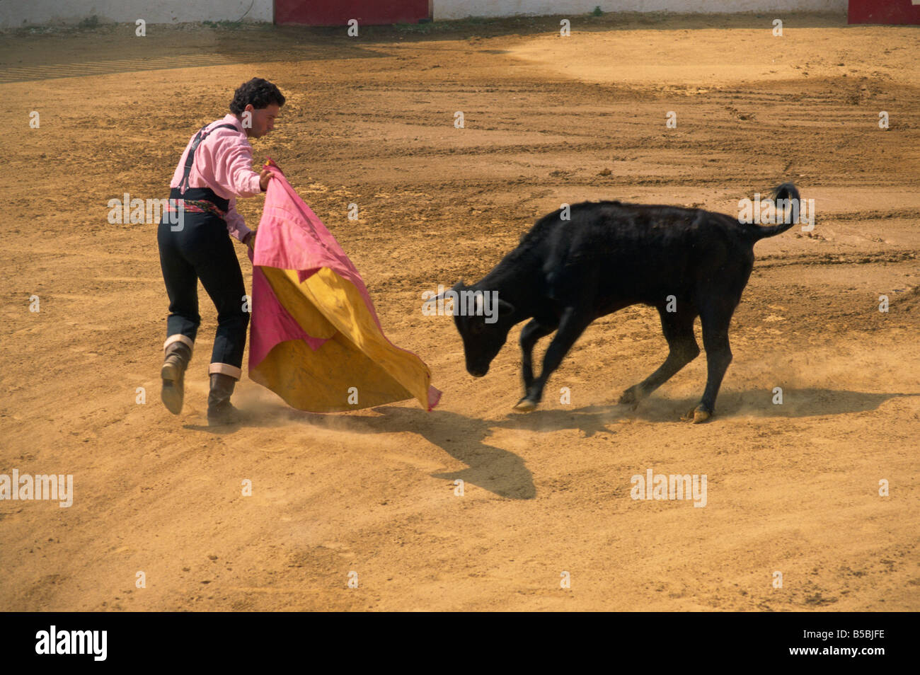 Bullfight demonstration Andalucia Spain Europe Stock Photo