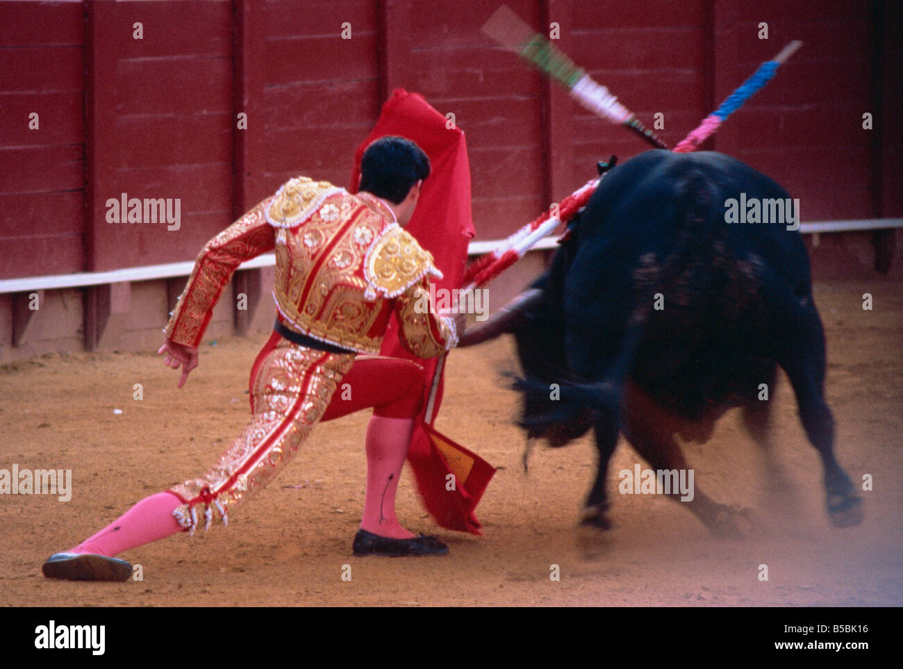 Steering the bull by left horn tip, bullfighting, Spain, Europe Stock Photo