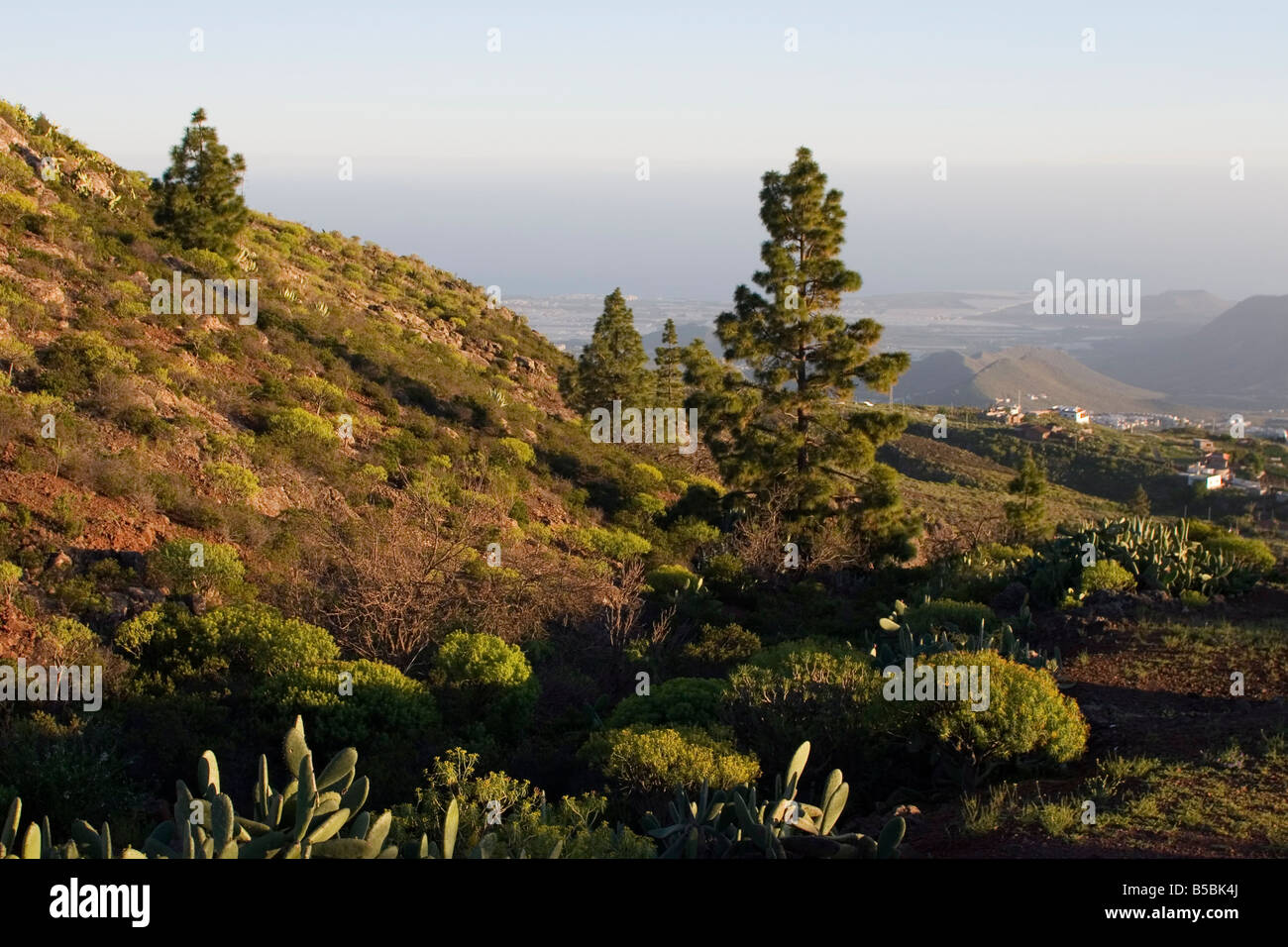 Arona, Roque de Jama from La Escolona, south west Tenerife interior, Canary Islands, Spain, Europe Stock Photo