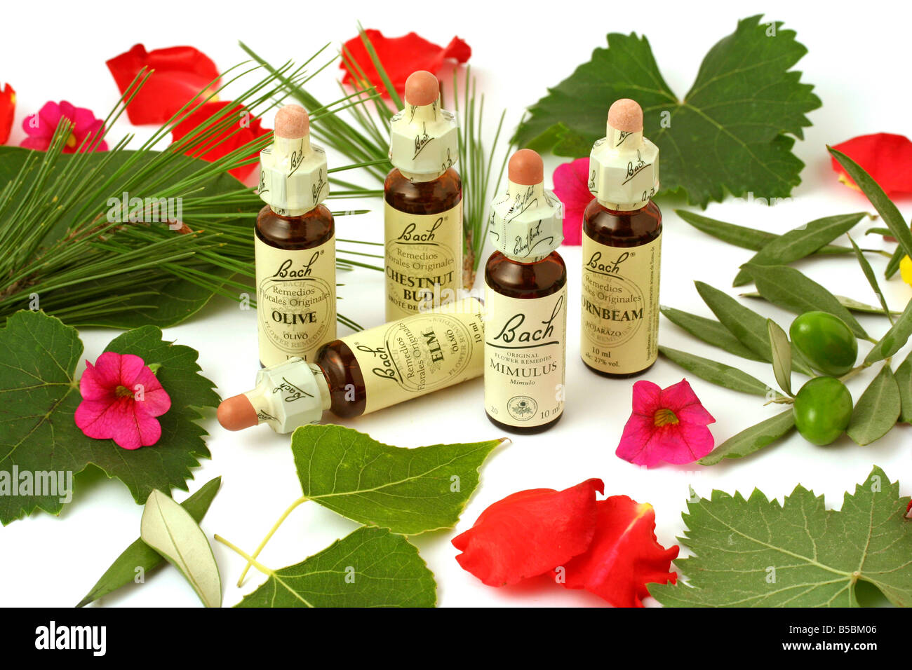 Bach s flower remedy still life Stock Photo Alamy