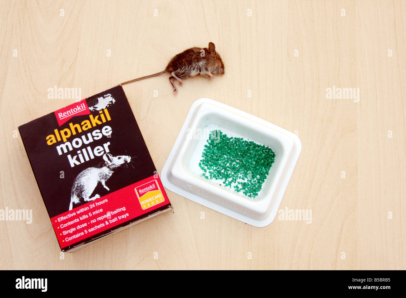 'field mouse' mouse 'house mouse' rentokil rentokill vermin poison dead