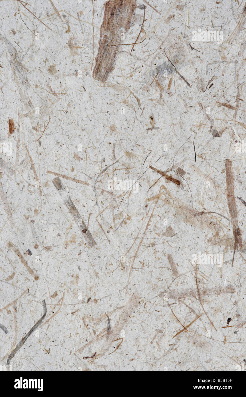 rough surface of the handmade paper with remains of plants - natural product Stock Photo