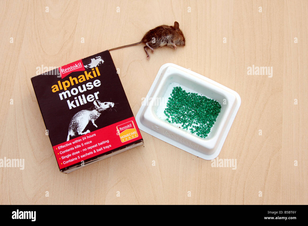 'field mouse' mouse 'house mouse' rentokil rentokill vermin poison dead